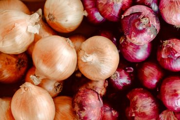 choisir-ses-oignons